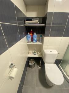 Koupelna v ubytování Apartmán v Lesní + 18 fotografií