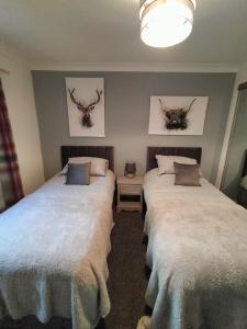 two beds in a room with paintings on the wall at Seaview cosy 2 bed home in Lamlash in Lamlash
