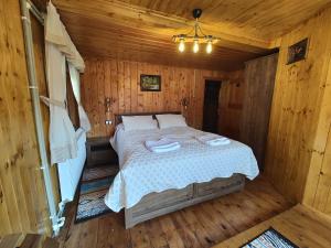 a bedroom with a bed in a wooden cabin at SEZATOAREA LUPILOR in Lepşa