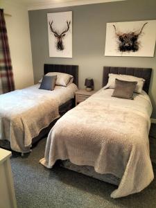 two beds sitting next to each other in a bedroom at Seaview cosy 2 bed home in Lamlash in Lamlash