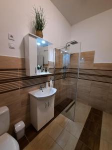 a bathroom with a sink and a shower and a toilet at Orchidea Apartmanház in Gyomaendrőd
