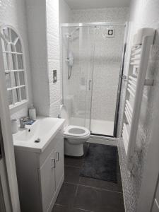 a bathroom with a shower and a toilet and a sink at City centre lovely Apartment with the Cheapest Overnight Parking in Leicester
