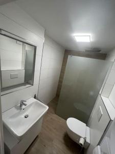 a bathroom with a sink and a toilet and a mirror at Familienwohnung neben dem See,Messe und Europapark in Offenburg