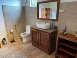 W łazience znajduje się umywalka, toaleta i lustro. w obiekcie Top floor studio -Villa Ibiza w mieście Trou dʼ Eau Douce