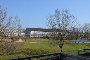a view of a building in a field with a tree at Ferriera 8 in Novi Ligure