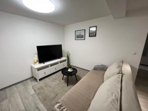 sala de estar con sofá y TV de pantalla plana en Ferienwohnung Meister, en Mayen