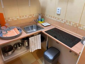 Kuchyň nebo kuchyňský kout v ubytování Freedom apartment + 13 fotografií
