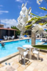 Pousada Kanamary في برايا دو فرانسيس: حفنة من الزهور البيضاء بجوار حمام السباحة