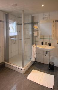 y baño con ducha y lavamanos. en Idyllisches Wohnen in grüner Oase, en Griesheim