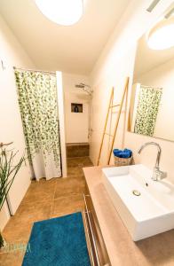 a bathroom with a sink and a shower at Apartment Alexandra in Gmunden