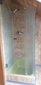 La salle de bains est pourvue d'une douche avec une porte en verre. dans l'établissement Ferienwohnung Schmotzle, à Überlingen