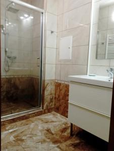a bathroom with a shower and a sink at Apartments Captain Grand Prague in Prague