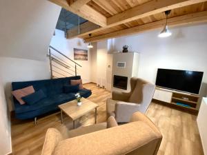 TV a/nebo společenská místnost v ubytování Apartmány Rosenberg