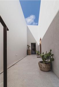 Fotografie z fotogalerie ubytování Amethyst Selene Paleros Couple's Hideaway v destinaci Palairos