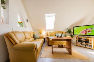 a living room with a couch and a tv at Waldblickwohnung für bis zu 5P mit Kamin und Sauna in Sebnitz