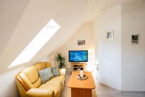 TV a/nebo společenská místnost v ubytování Waldblickwohnung mit schöner Terrasse und Kamin