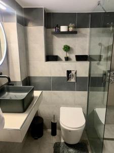 a bathroom with a toilet and a sink and a shower at Athens nice apartment in Athens +21 photos