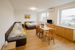 Μια τηλεόραση ή/και κέντρο ψυχαγωγίας στο VINAŘSTVÍ VERITAS - apartmány