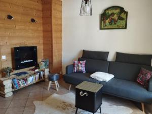salon z niebieską kanapą i telewizorem w obiekcie Le gîte du Val w mieście Flumet