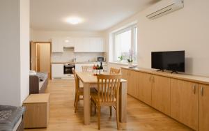 Η κουζίνα ή μικρή κουζίνα στο VINAŘSTVÍ VERITAS - apartmány