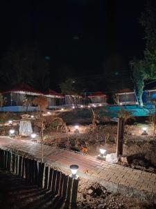 een park 's nachts met een zwembad en verlichting bij Imilia Camps in Bir