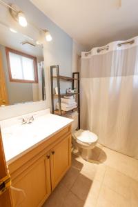 a bathroom with a sink and a shower and a toilet at Heather Lodge in Minden