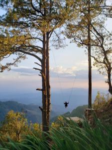 a person on a zip line in the trees at Hotel de Montaña Buena Vista in Río Chiquito