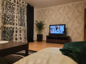 Televízia a/alebo spoločenská miestnosť v ubytovaní Apartament Basztowa