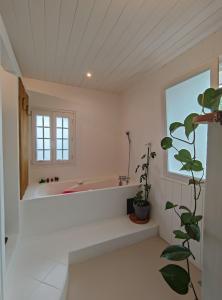 a bathroom with a tub and a window and a plant at Atelier des sens 89 in Évry