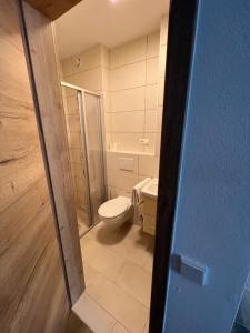 a bathroom with a toilet and a glass shower door at Boardinghouse MDS in Aschheim