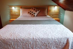 a bedroom with a large bed with a white bedspread at Trebol Amarillo Bed & Breakfast in Escazu