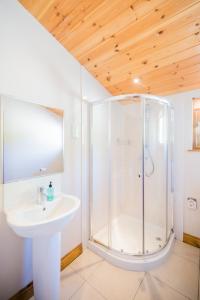 a bathroom with a shower and a sink at Kingfisher Lodge with Hot Tub in Cupar