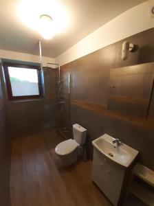 a bathroom with a toilet and a sink at Willa Czajki in Oświęcim