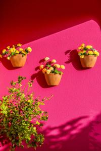 three cupcakes on a pink surface with flowers in them at Vila Graciosa - Tranquility Oasis in Lagos