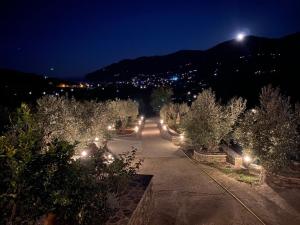 una vista notturna su un parco con alberi e luci di Lena's Apartment in Skopelos a Skopelos Town