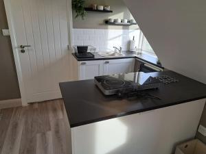 Η κουζίνα ή μικρή κουζίνα στο Suffolk View Apartment