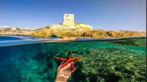 a person holding a starfish in front of a lighthouse at Sun Sea Living Gozo in Xlendi