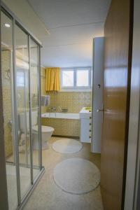 a bathroom with a toilet and a sink at Cosy Family House in Alt Sankt Johann