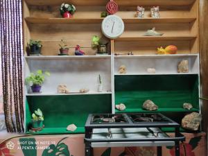 a kitchen with a stove and shelves with plants at Mandala Camping - Oferecemos um espaço para sua barraca in Alto Paraíso de Goiás