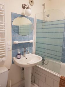 a bathroom with a sink and a shower and a mirror at LE PETIT MATELOT in Honfleur