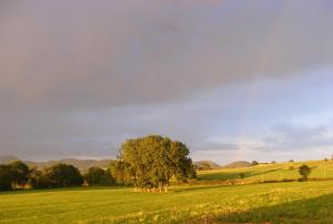 Příroda nedaleko bed and breakfast