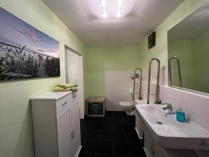 ein Badezimmer mit einem Waschbecken, einem WC und einem Spiegel in der Unterkunft Riesen Düderode in Kalefeld