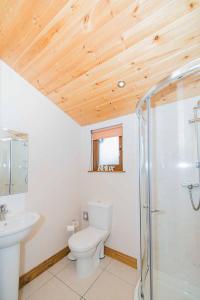 uma casa de banho com um WC, um lavatório e um chuveiro em Skylark Lodge with Hot Tub em Cupar