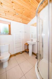 a bathroom with a toilet and a sink at Skylark Lodge with Hot Tub in Cupar