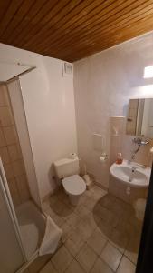 Penzion Olympia في بانسكا بيستريتسا: حمام مع مرحاض ومغسلة