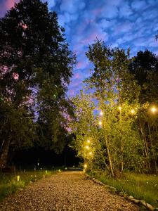 a gravel road at night with trees and lights at Hostal Treile in Pucón