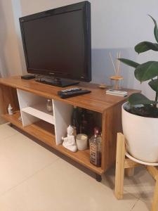 TV en una estantería de madera con una planta en Departamento Complejo Alto Villasol Amoblado 3 personas en Córdoba