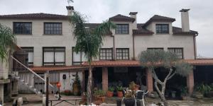 a large building with a palm tree in front of it at Casa Barranqueiro in Vilaboa