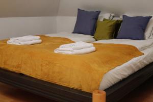 Postel nebo postele na pokoji v ubytování Villa pod Szczeblem Dom dla 12 osób z kominkiem balią jacuzzi + 12 fotografií