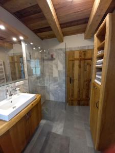 a bathroom with a sink and a shower at Almchalet Schuster in Diex